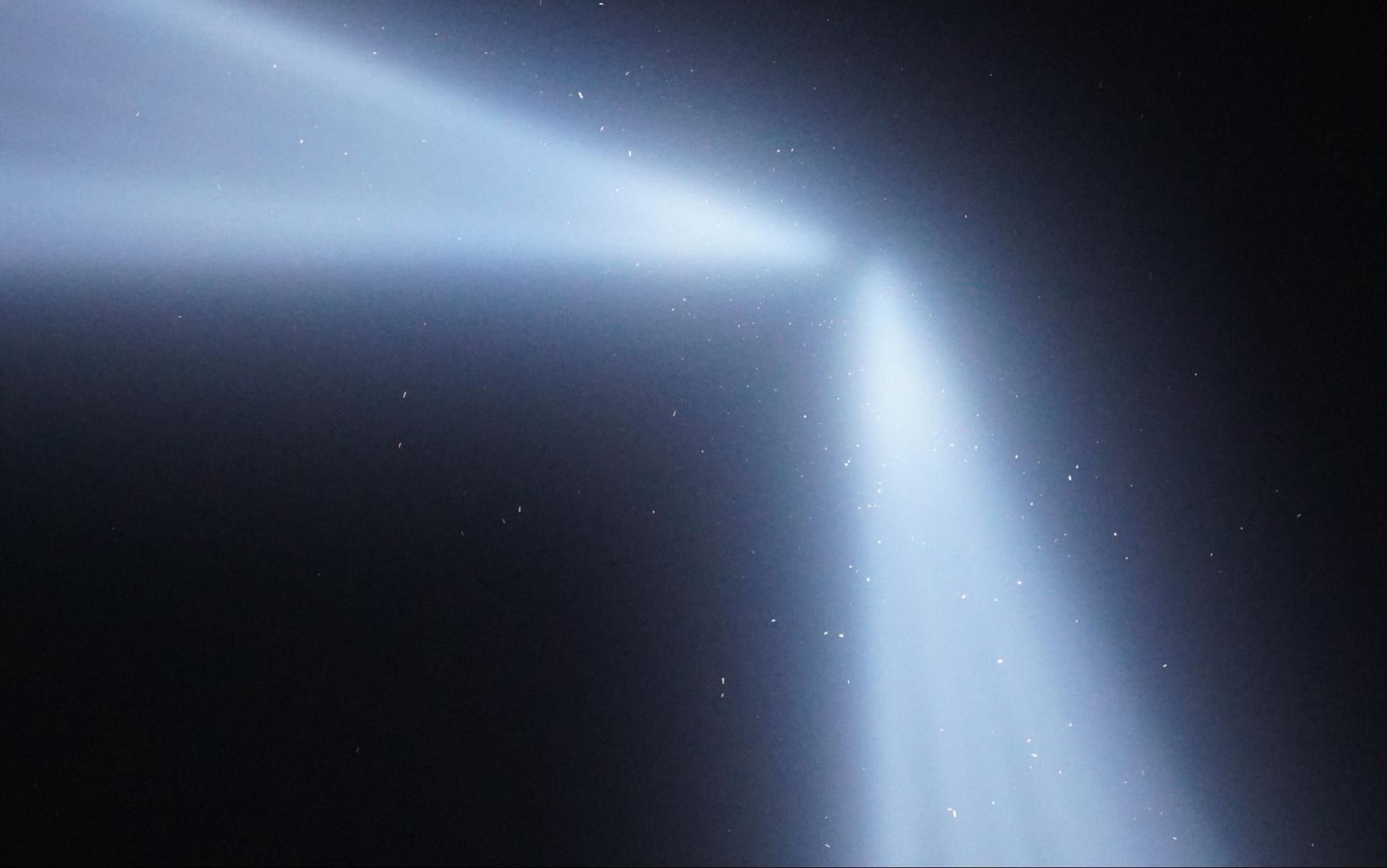 Hundreds of birds (the small white dots) stuck circling the Tribute in Light memorial. Photo: NYC Bird Alliance