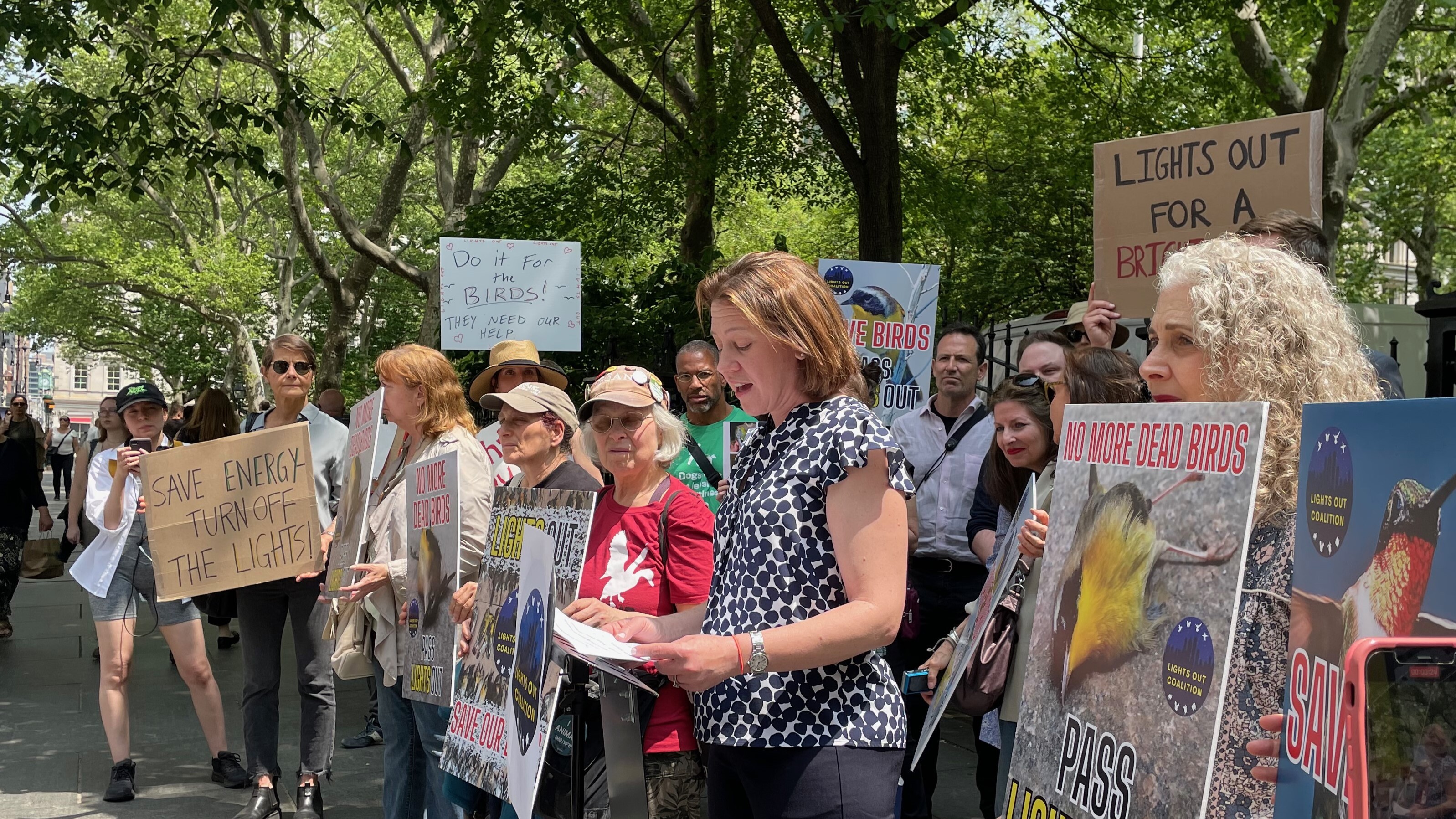 NYC Bird Alliance Executive Director Jessica Wilson speaks at a rally outside City Hall in support of Lights Out legislation, Int. 1039, on May 11, 2023. Photo: NYC Bird Alliance