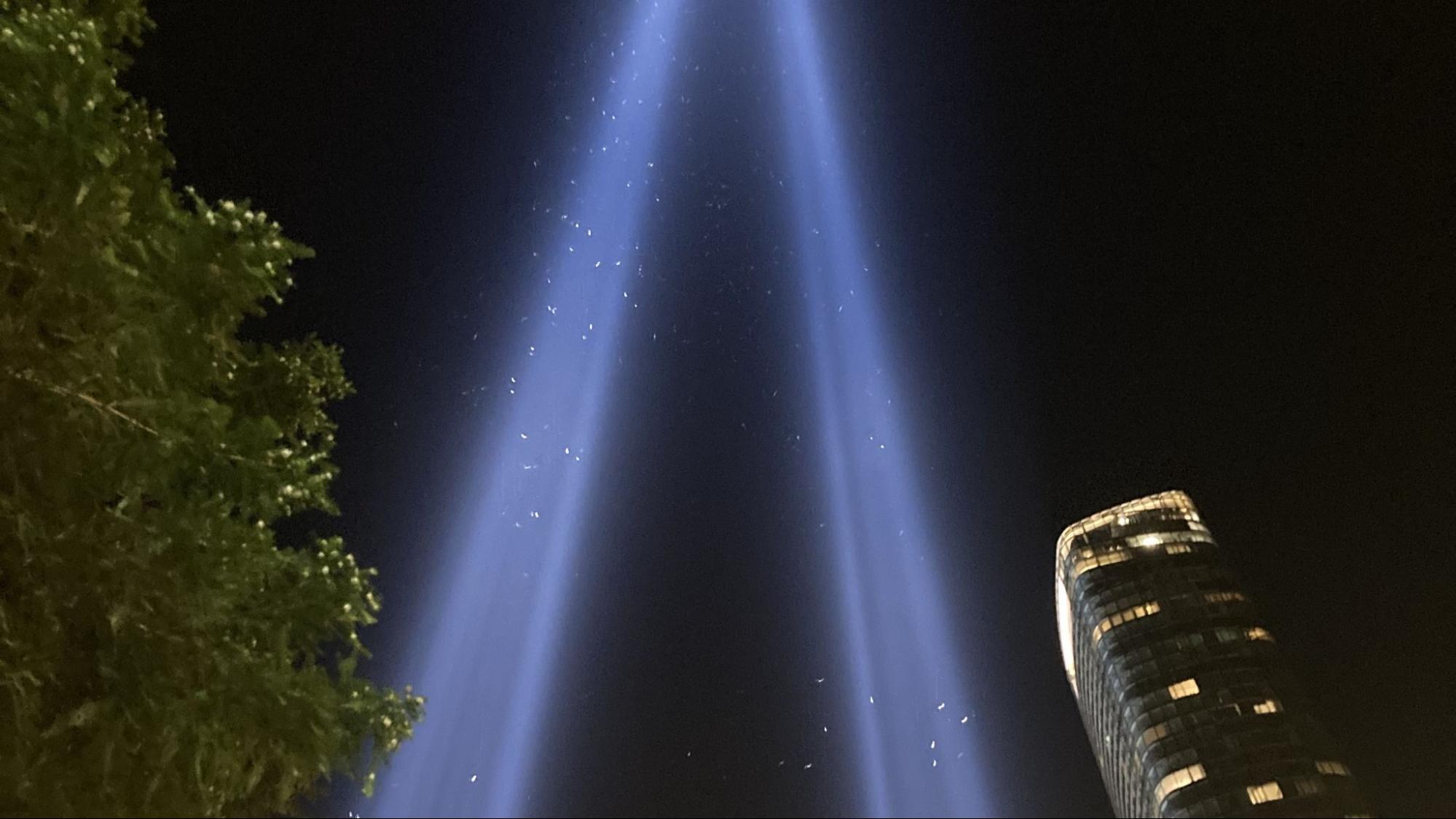 The small bright dots are in fact hundreds of birds "trapped" and disoriented within the bright beams of the Tribute in Light. Photo: NYC Bird Alliance