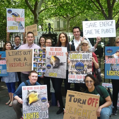 NYC Bird Alliance Staff at the Lights Out Rally before City Council.