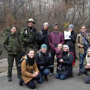 The Christmas Bird Count in Central Park. Photo: NYC Bird Alliance