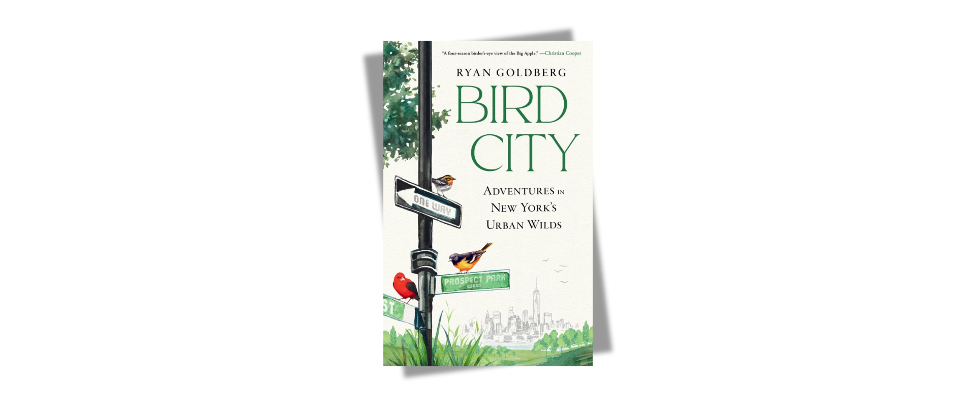 Bird City by Ryan Goldberg