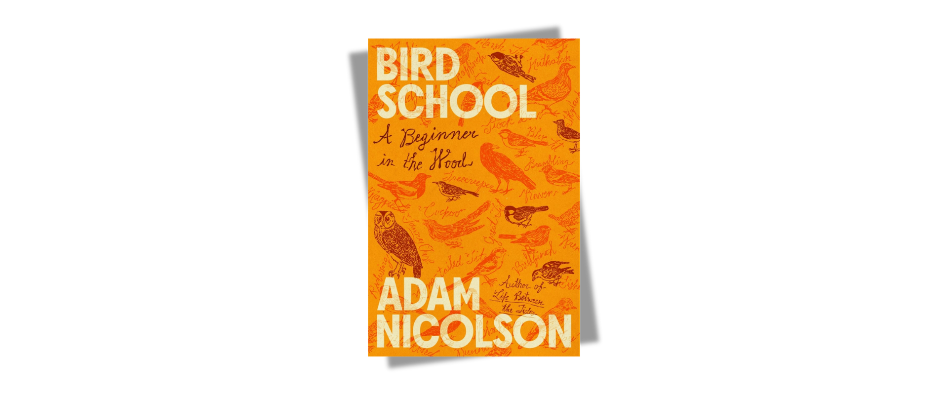 Bird School by Adam Nicolson