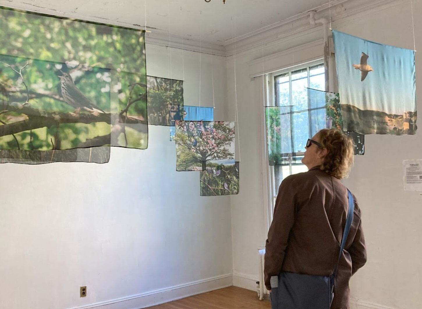 As part of the "Divergence of Birds" exhibit, Carolyn Monastra’s photographs hang on silk banners inside our Governors Island seasonal environmental center. Photo: NYC Bird Alliance