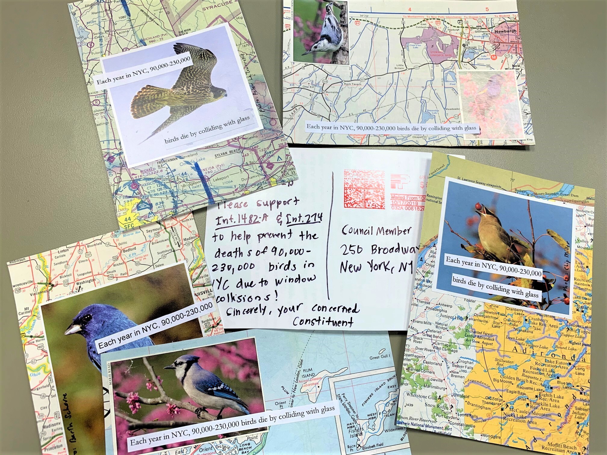 Postcards to government officials were part of NYC Bird Alliance’s successful advocacy for bird-friendly building legislation in New York City. Photo: NYC Bird Alliance