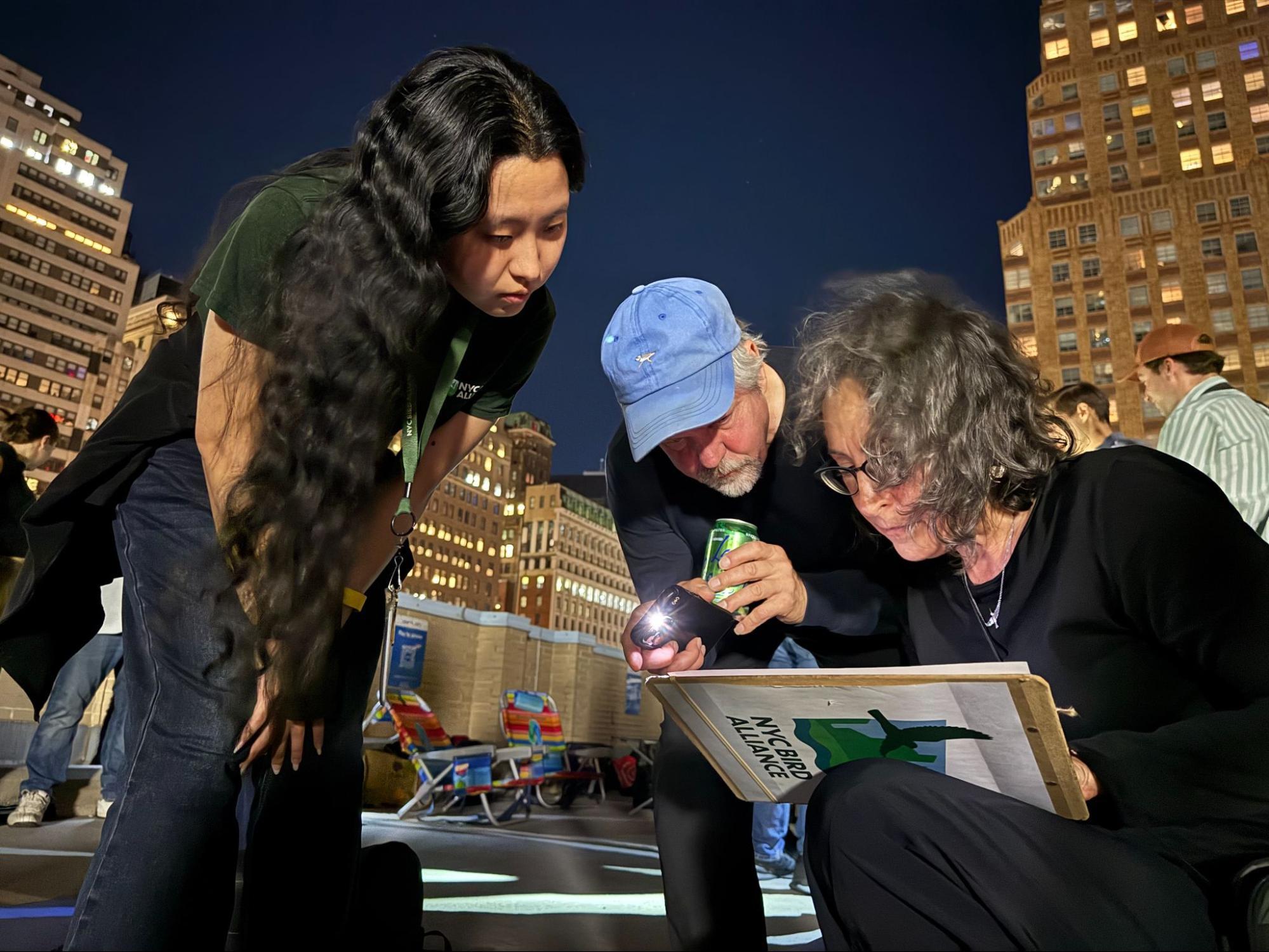 NYC Bird Alliance scientists and volunteers conduct counts every 20 minutes to determine how many birds are circling within the Tribute beams. Ⓒ Michelle Talich