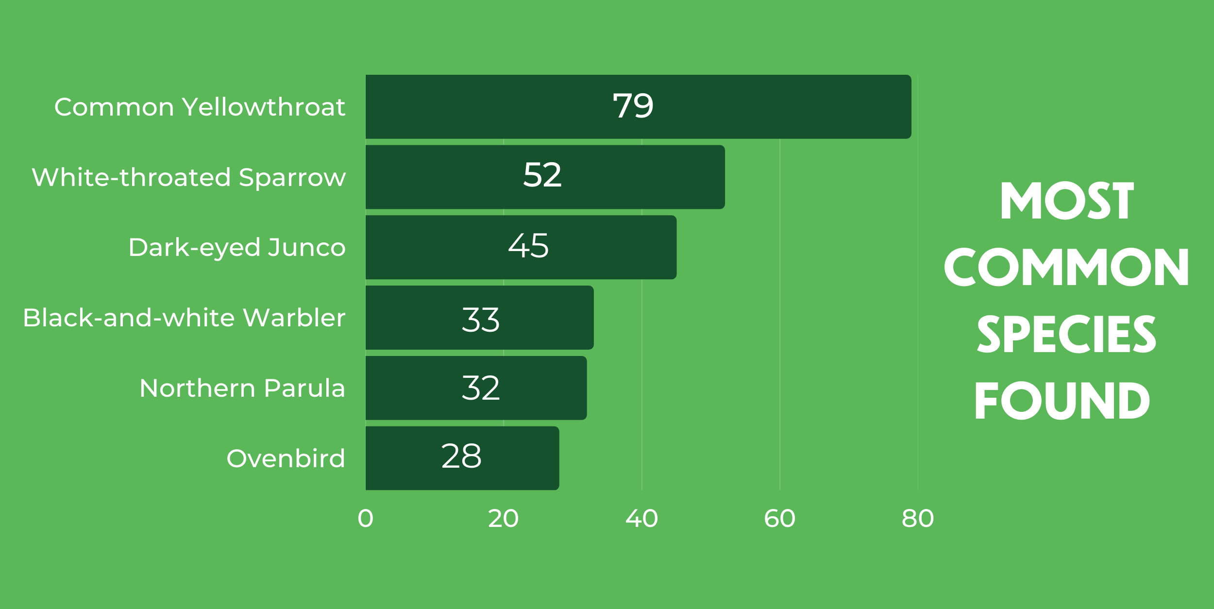 Most frequent collision victims found by Project Safe Flight volunteers in fall 2022: the top most common species identified were Common Yellowthroat (79), White-throated Sparrow (52), Dark-eyed Junco (45), Black-and-white Warbler (33), Northern Parula (32), and Ovenbird (28). Chart: NYC Bird Alliance
