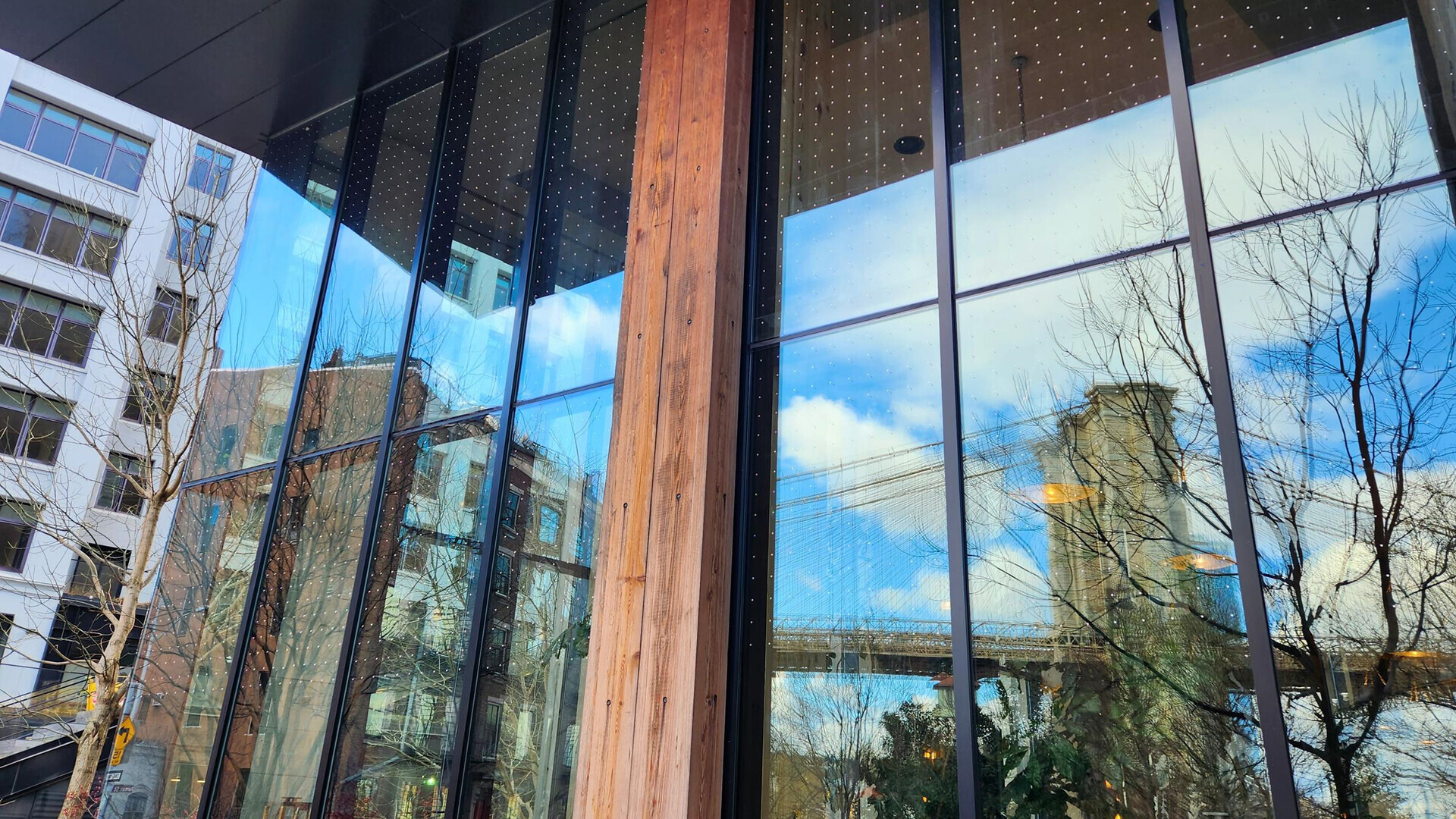 The exterior of 1 Hotel Brooklyn Bridge, retrofitted last year with Feather Friendly® bird-safe film. Photo: Cyrus Gonzeles