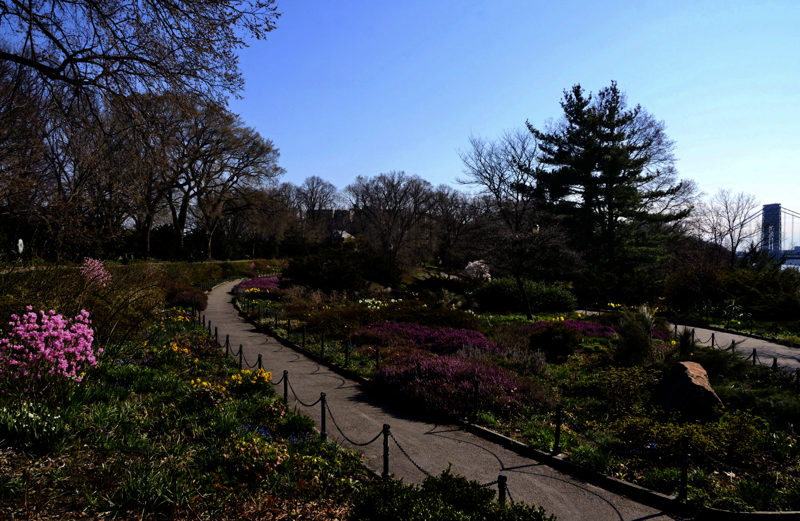 Fort Tryon Park’s Heather Garden. Photo: Edward Crimmins