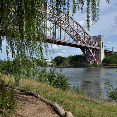 Harlem & East River Parks - Manhattan - NYC Bird Alliance