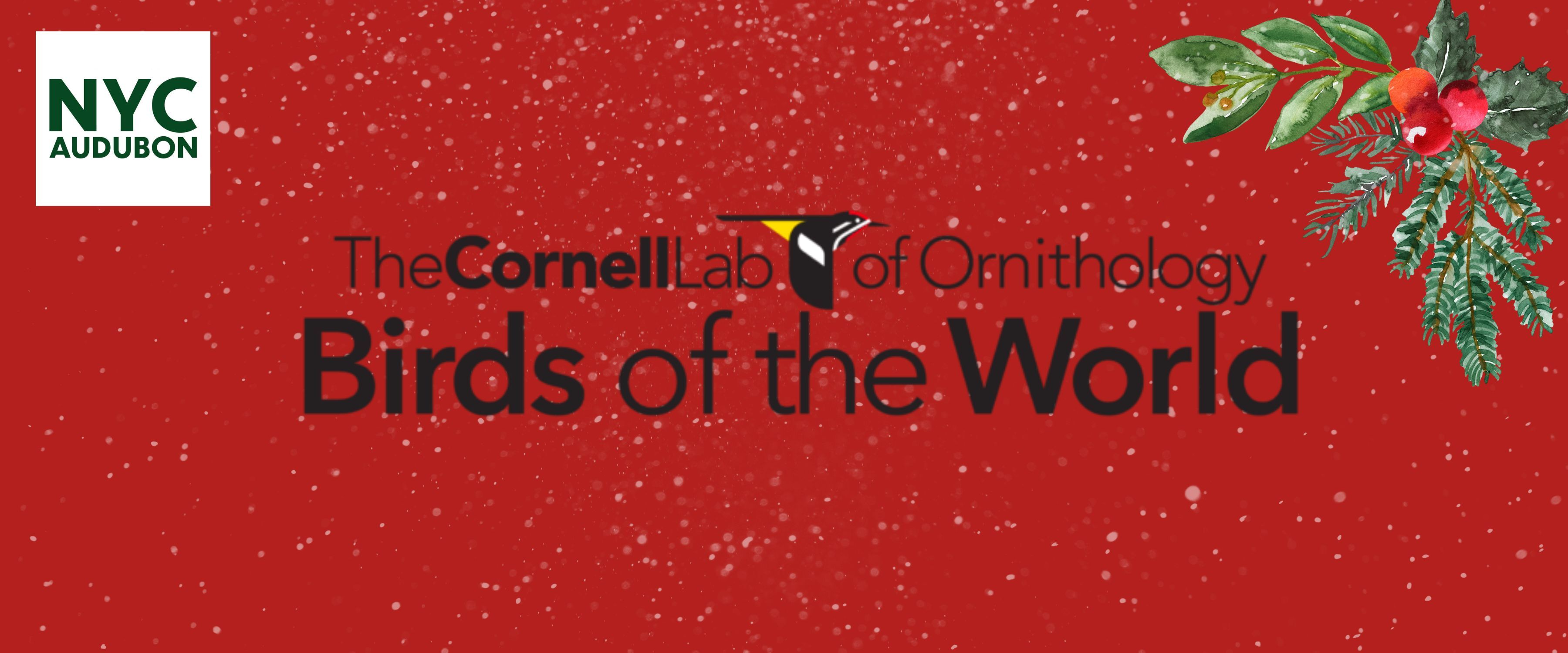 Graphic by NYC Bird Alliance. Logo courtesy of The Cornell Lab of Ornithology.