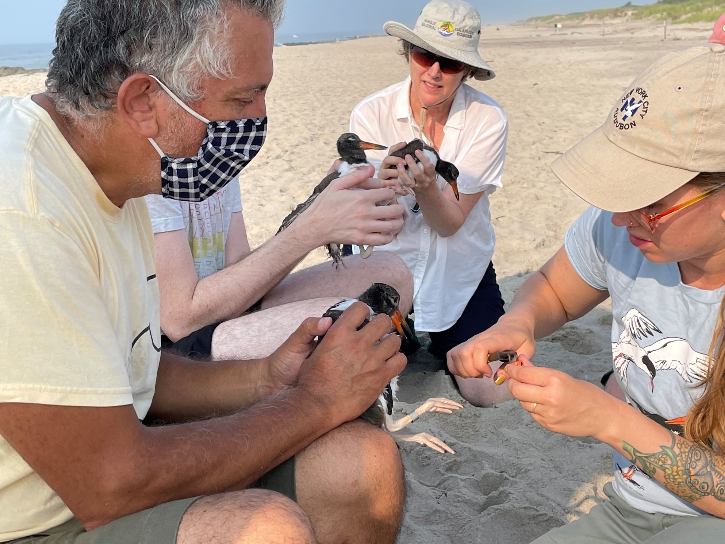 Emilio Tobón and fellow banders Kellye Rosenheim and Kaitlyn Parkins at work. Photo: NYC Bird Alliance