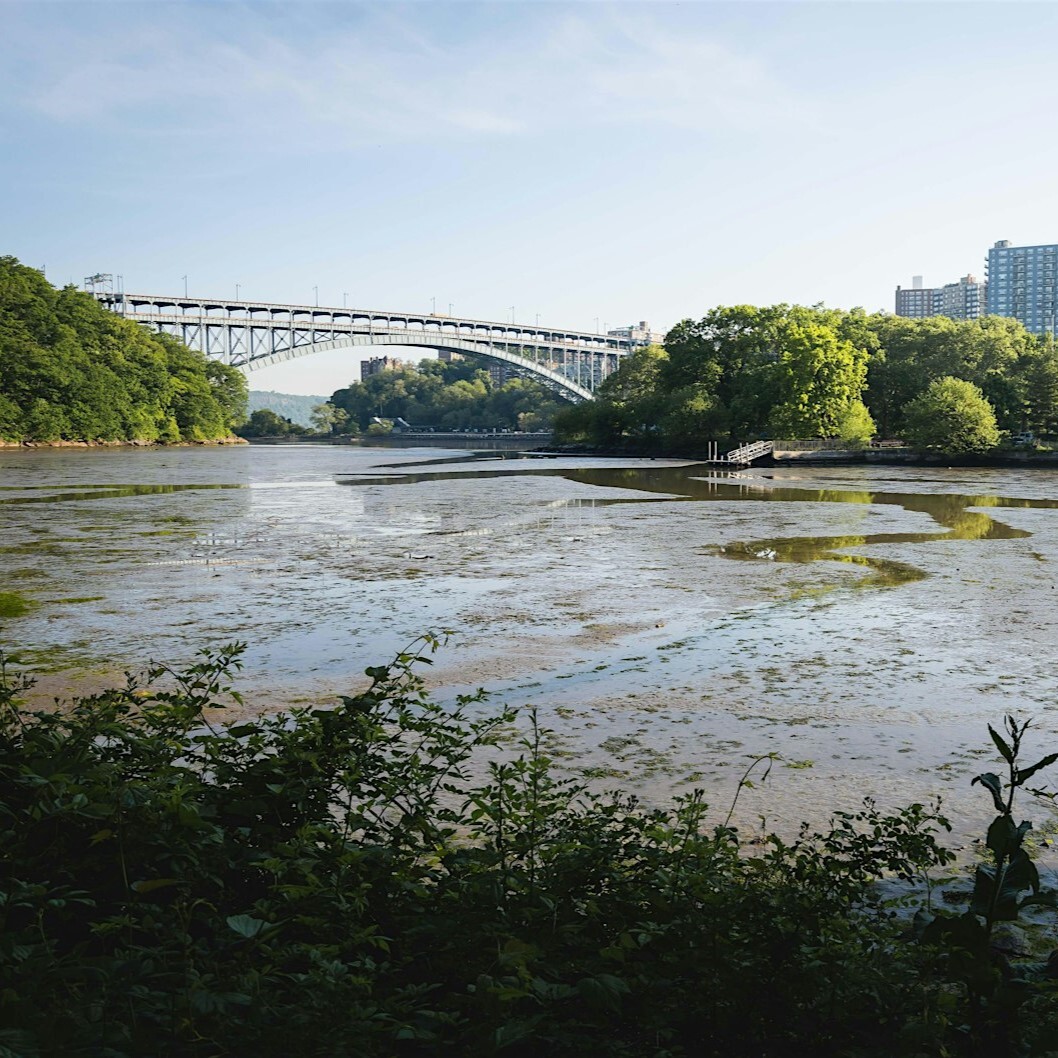 Courtesy of Natural Areas Conservancy