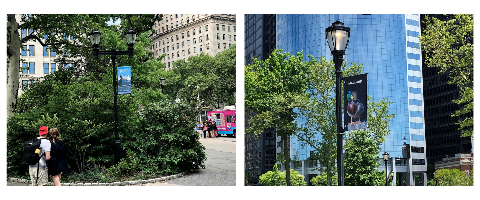 Bird Banners in Battery Park Ⓒ Gail Karlsson