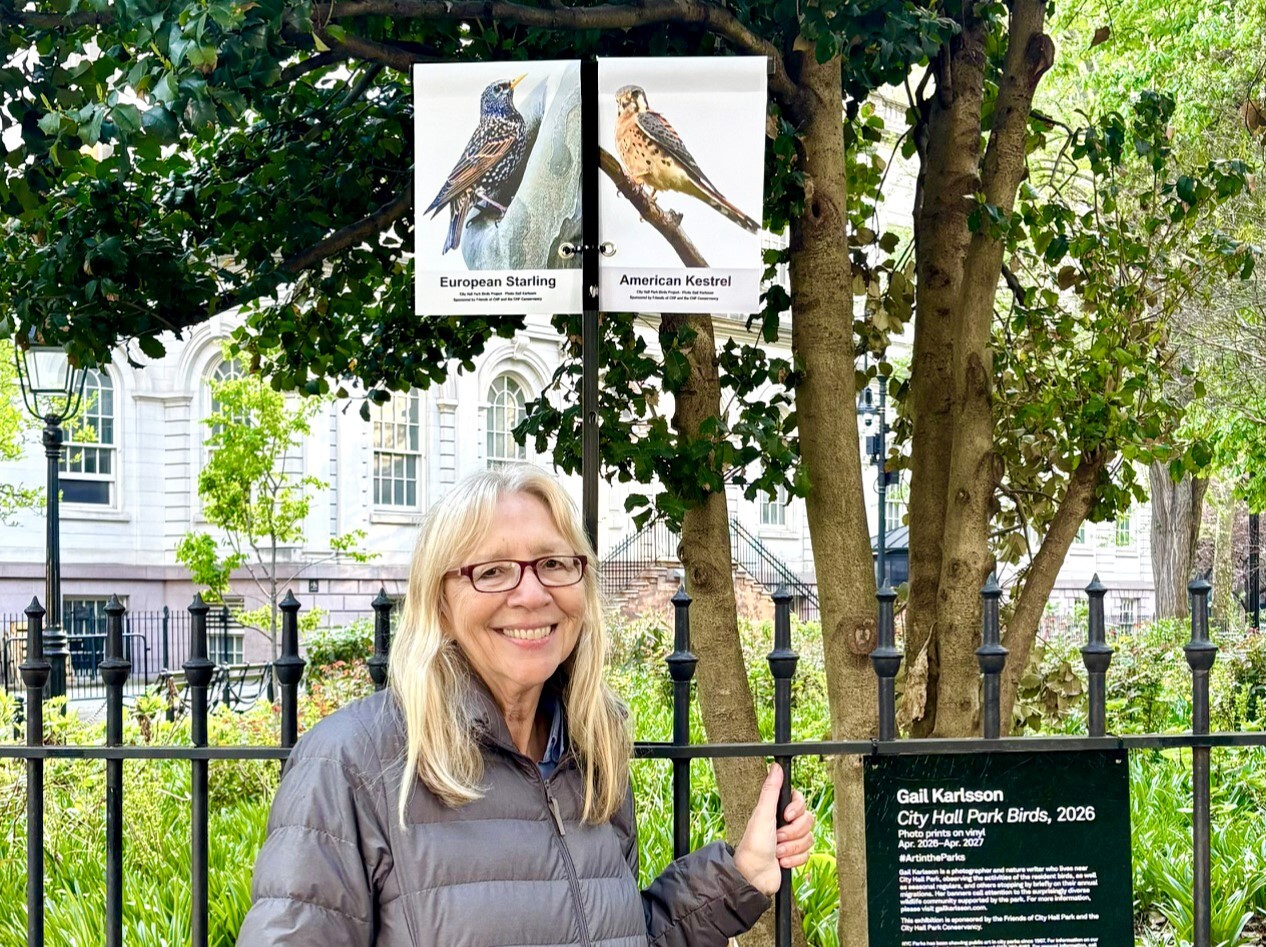 Nature writer and photographer Gail Karlsson started the Bird Banner project in the Battery in 2022.