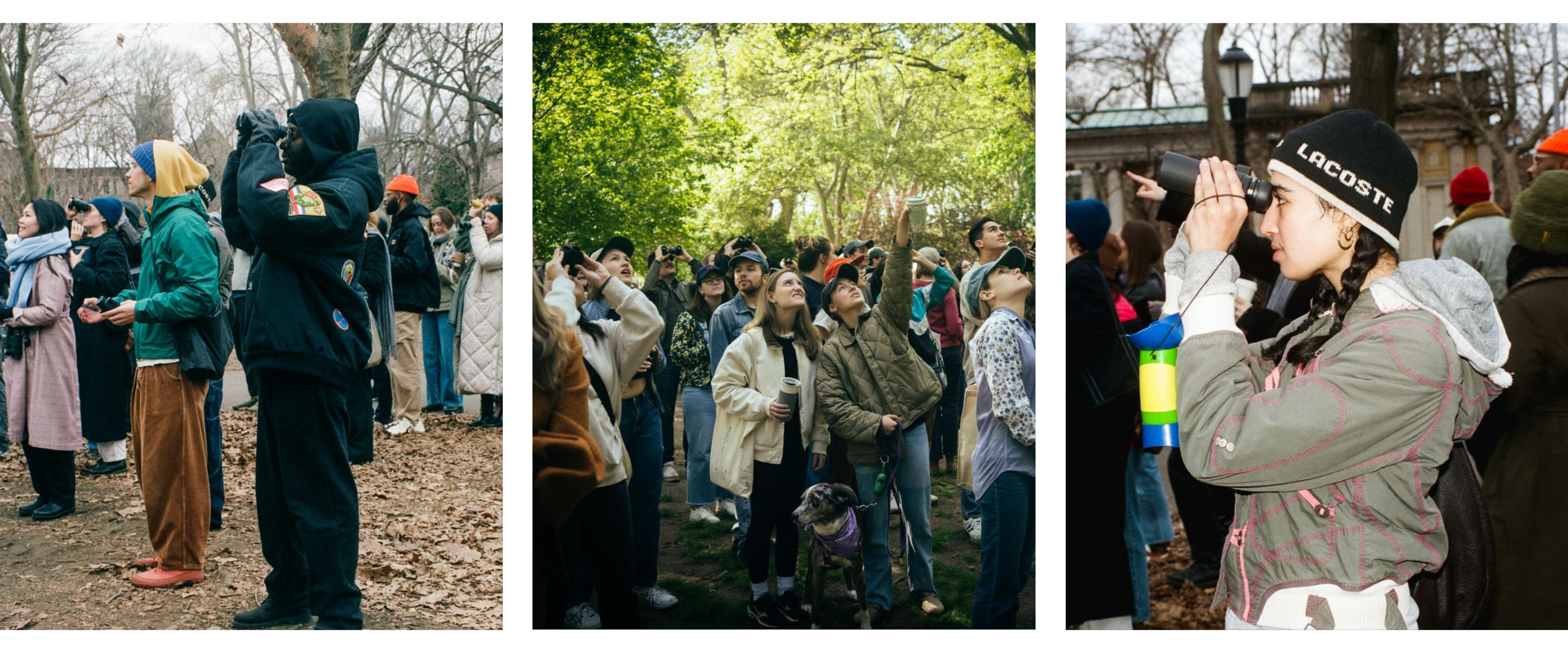 McGolrick Bird Club is designed to welcome “unlikely” birders who are waiting to be sparked. Photos: Louisa Belk.