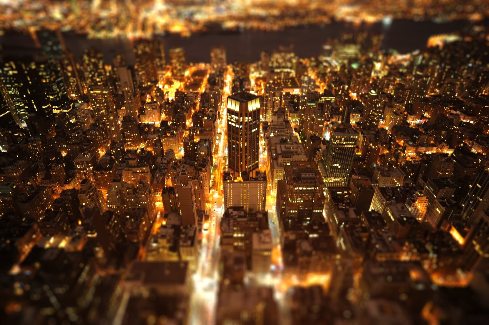 NYC Bird Alliance’s research explores how migrating birds respond to artificial light. <a href="https://www.flickr.com/photos/144871758@N05" target="_blank" >Photo</a>: moardin/<a href="https://creativecommons.org/licenses/by-nc-nd/2.0/" target="_blank" >CC BY-NC-ND 2.0</a>