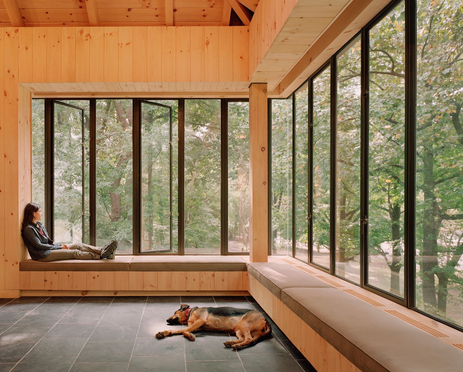 The second floor of the Volunteer House has panoramic windows of the surrounding tree canopy. Photo courtesy of MBB Architects. 