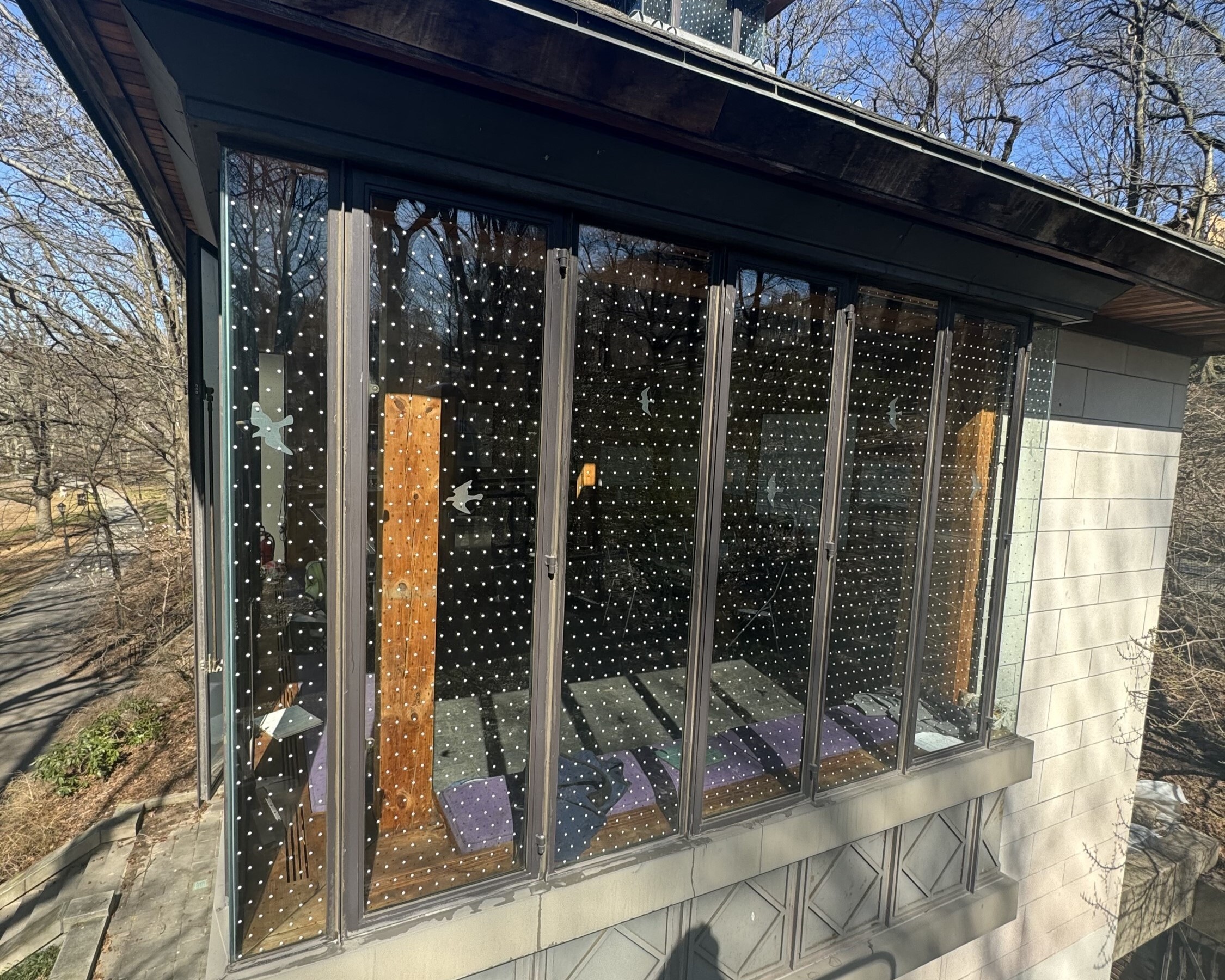White dot film is just one way of making windows safe for birds.