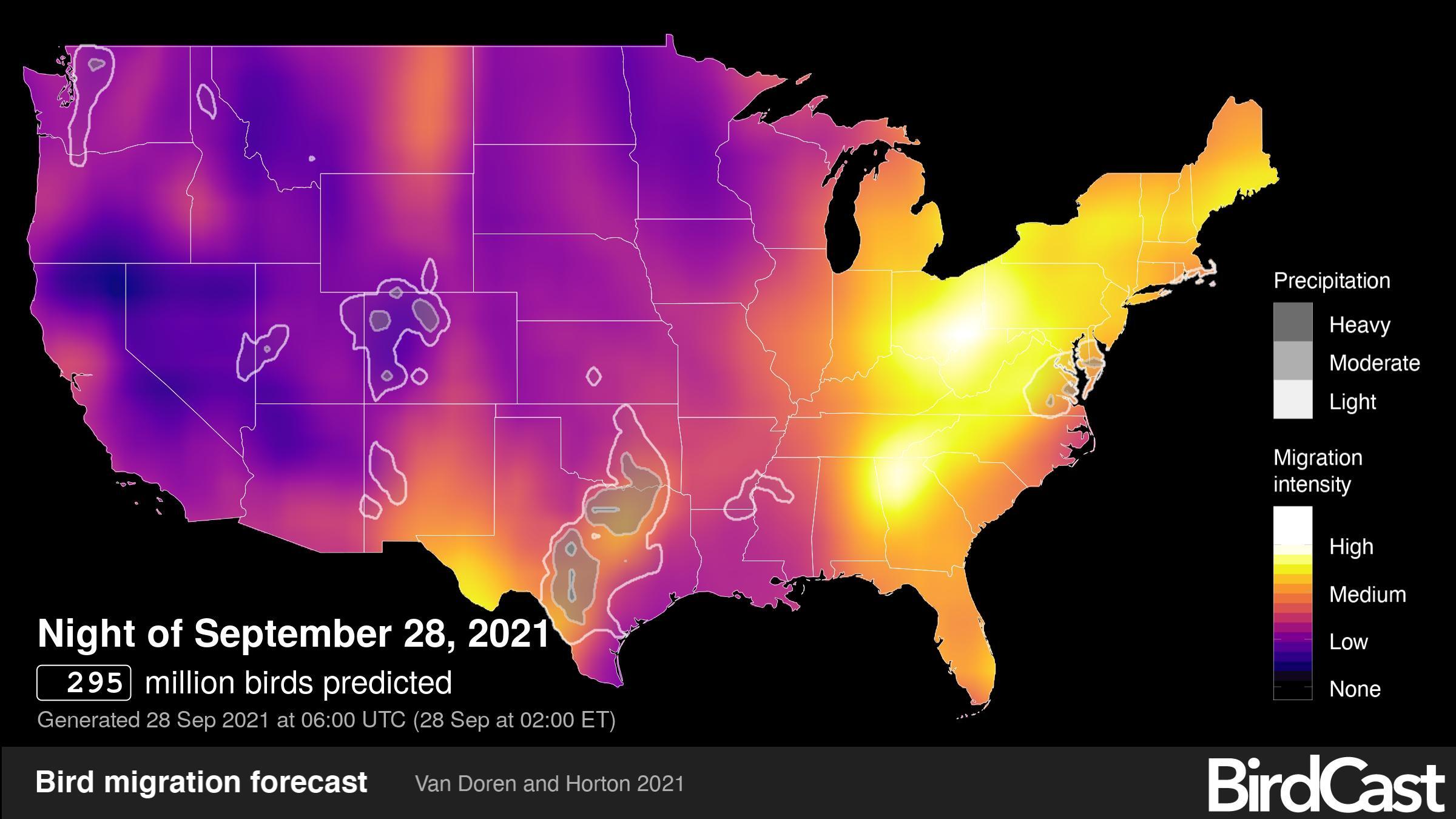 BirdCast uses radar technology to predict migration intensity on given nights, up to three days in advance. Combining this information with weather forecasts and historical collision data opens up new bird conservation opportunities.