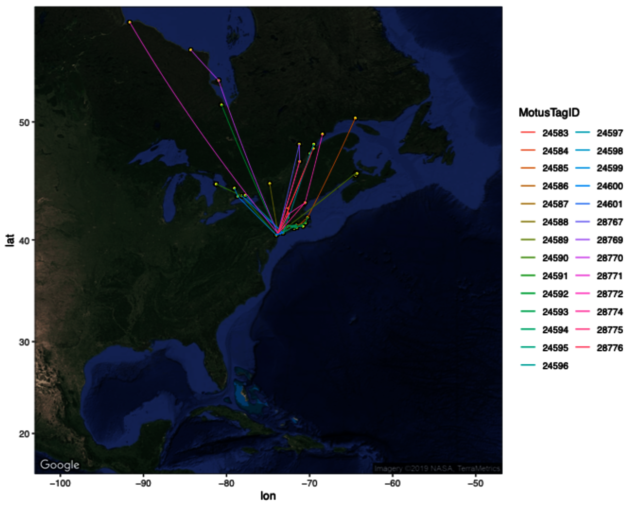 Spring migration tracks of 27 Semipalmated Sandpipers nanotagged in Jamaica Bay in 2017 and 2018. Birds were detected flying inland along the Connecticut River, along the coast of Long Island Sound and Cape Cod, and eventually at locations in Canada including Lake Ontario, the St. Lawrence River, the Bay of Fundy, Ottawa, and Hudson Bay. Photo: NYC Bird Alliance