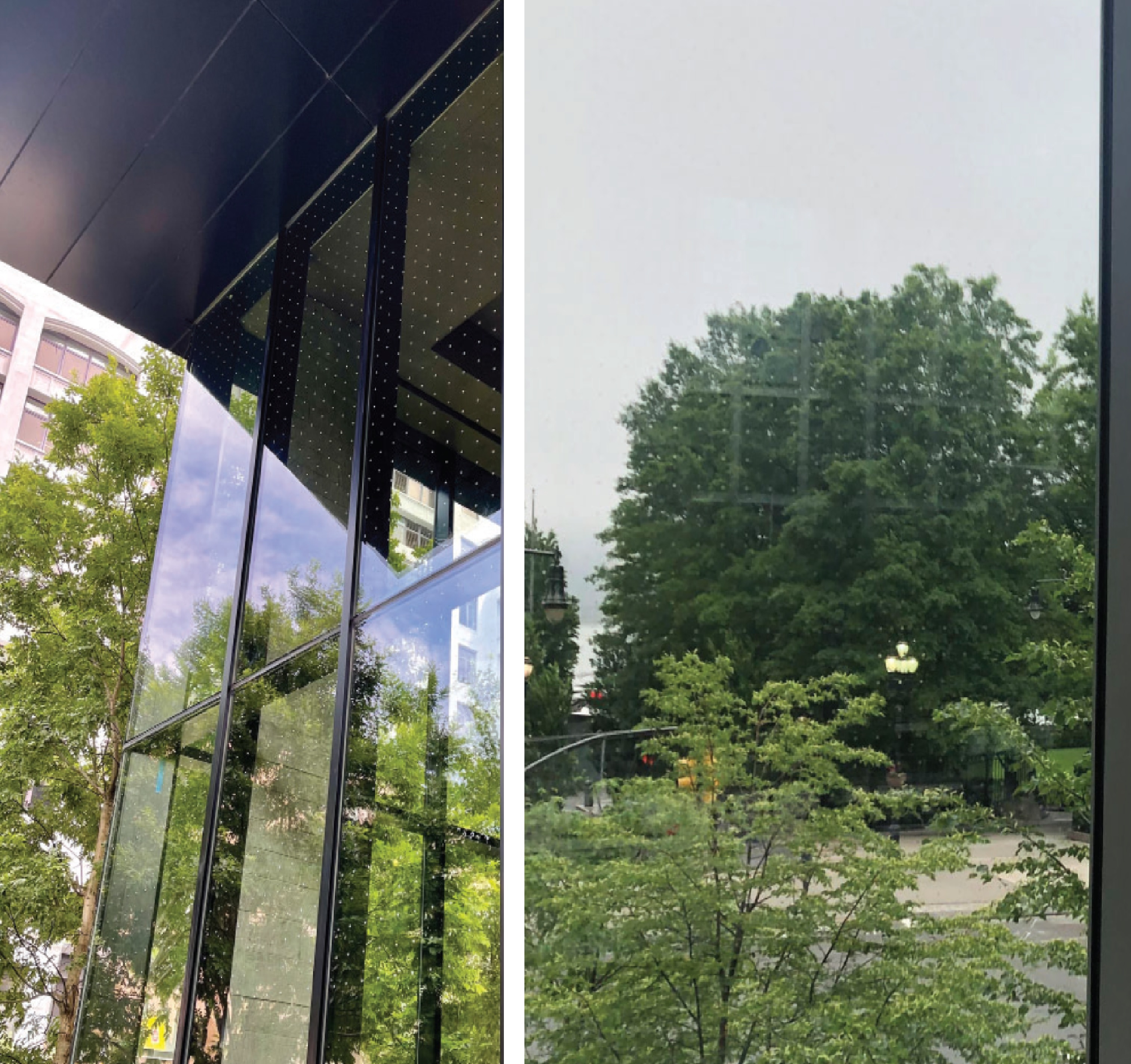 At left, the greenery-facing windows of 1 Hotel Brooklyn Bridge were treated with Feather Friendly bird-safe film. The dots on such window treatments must be spaced closely enough that birds perceive an impenetrable barrier.  At right, the ultraviolet-light-reflecting dots of BirdDivert bird-safe film are just visible on the windows of Brookfield Place’s Liberty Street bridge. Over time, our monitoring will reveal the effectiveness of this method. 