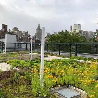 The Green Roof Environmental Literacy Laboratory, the largest NYC public school green roof, sits atop of the New York City public elementary school PS41. Photo: courtesy Green Roof Researchers Alliance